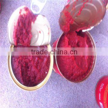 Tomato Type and Can (Tinned) Packaging Tomato Paste