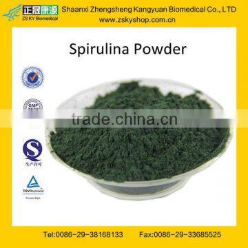 GMP manufacturer supply Pure Spirulina Powder--50%-60% protein