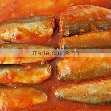 Canned Mackerel in Tomato Sauce
