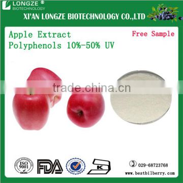 ISO and FDA Certified Best-quality Apple Fruit Extract powder 5:1 ,10:1 spray-dried apple fruit powder