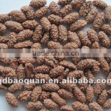Chinese Cocoa Flour Coated Peanuts