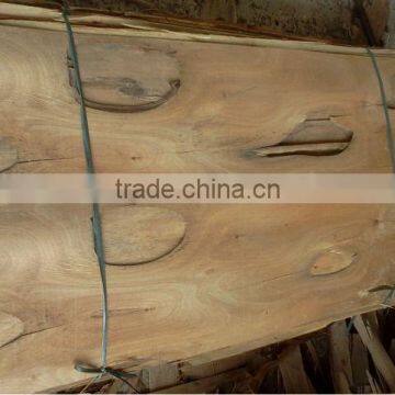 Eucalyptus Core Veneer B Grade - Kego Ltd photo-4