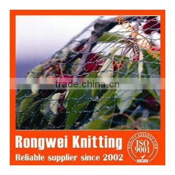 Anti bird net/Mist bird net/ Anti bird netting