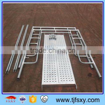 Cheapest Mighty Anti Rusted Scaffoldin photo-2