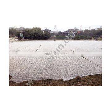 pp Spun Bond Nonwoven Fabric Polypropylene for for Agriculture Usage Cover photo-5