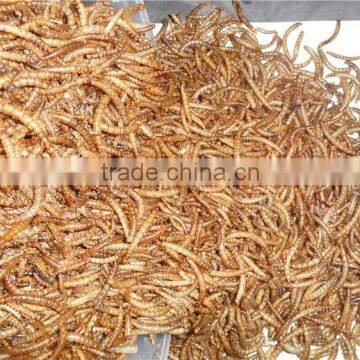 FDA microwave_dried mealworm dry pet food / mealworm fish feed