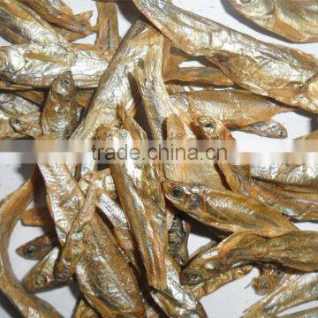 First grade cat food air dried fish