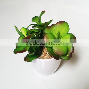 Real touch mini artificial succulent plant bonsai with pot for decor