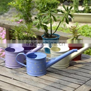 New style metal watering can with printing