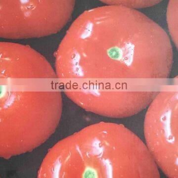 Audley 1.9m Multicolor Dx7 Head Eco Solvent Printer ADL-A1971 photo-5