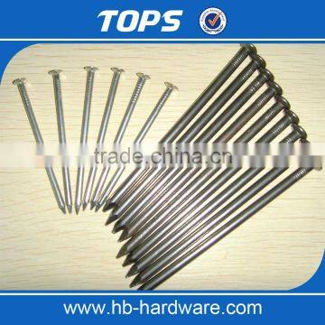 Polished Common Nails for Sale photo-2