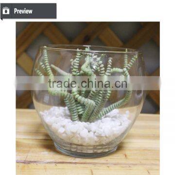 Artificial Preserved Succulents Artificial Potted Mini Succulent Plants Hot Sale Artificial Potted Plants photo-4