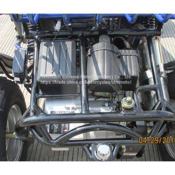 Двухместный гоночный дюн-багги для дорожного использования photo-2