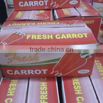 Wholesale Chinese Fresh Carrots With High Quality and Good Price photo-6