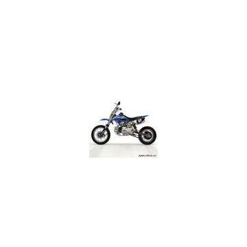 Dirt Bike (ELDB-011)
