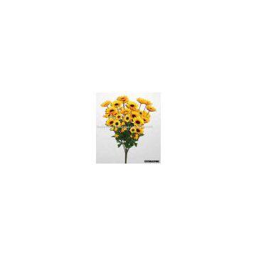Sunflower Bush