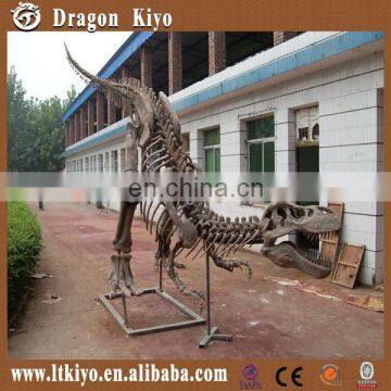 2016 Life size dinosaur fossil sale