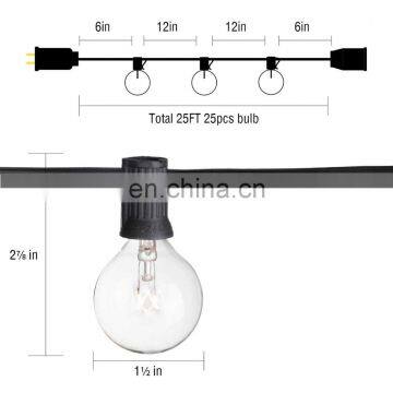 Wholesale Fairy Garden Home Wedding Party LED G40 Globe String Lights With Clear Bulbs photo-6