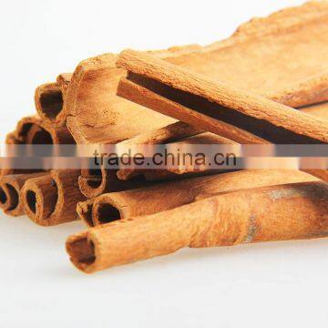 15-45cm Best quality Cinnamon