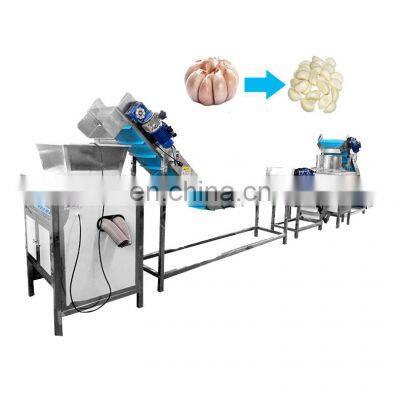 Garlic peeling production line garlic allium sativum fruit processing equipment