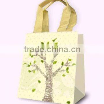 Fancy Gift Bag, Souvenir Packaging Bags