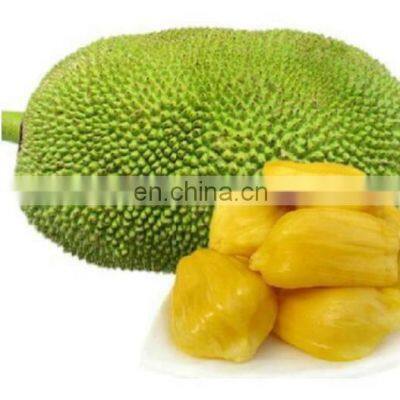 Jackfruit Peeling Machine Skiving Machine Peeler Industrial Machine photo-2