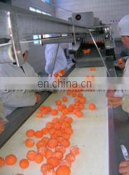 Orange Juicer Processing Line Apple Juice Sterilizing Machine photo-2