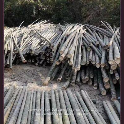 Buddha Incense Signature Manufacturers Round Bamboo Silk Strip Each Size Incense Core Buddha Incense Stick Handicraft Bamboo Stickbamboo Stick photo-3