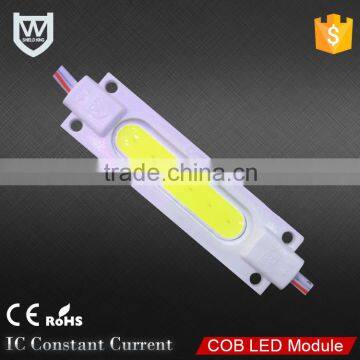 high bright 2W 180LM DC12V injection cob power led module rgb for advertising decoration lighting