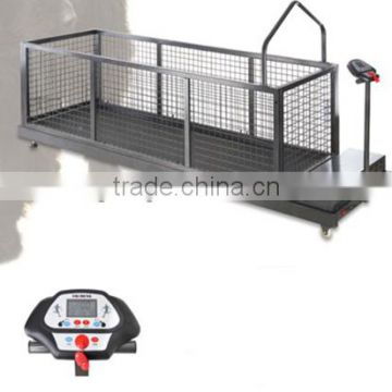 Pet Treadmill With Fence