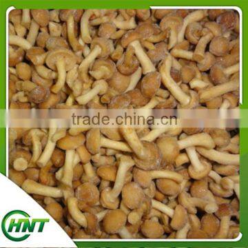 Yummy Fresh Frozen Nameko Mushroom For Sale photo-6