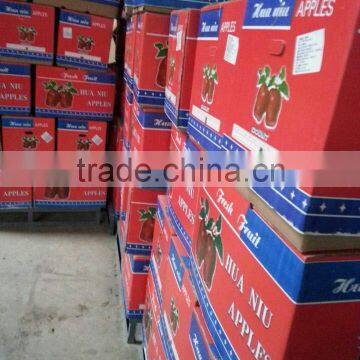 TOP HUANIU APPLES