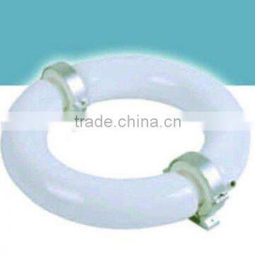 Induction Lamp