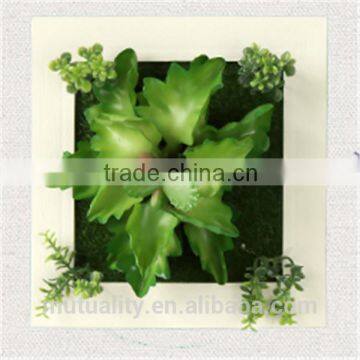 hot sale 2016 Wall Mounted Artificial Succulent Plants Wall