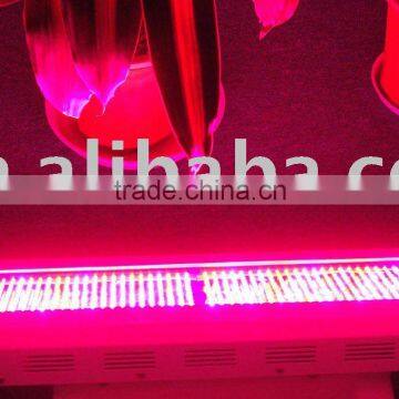 CE ROHS FCC, PSE Certificate high quality 600w LED grow lighting