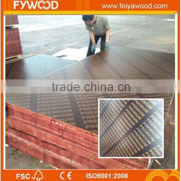 Export Maldives Film Faced Plywood photo-2