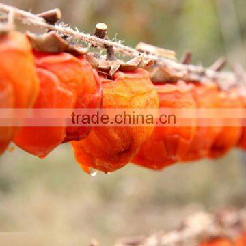 Chinese original Healthy Food the Dried Persimmon wholesale from xi'an