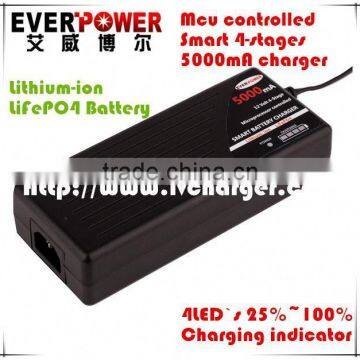 Everpower 12.8Volt 4S 40AH LiFePO4 battery charger 5000mA