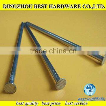 low price flat round iron common wire nail factory