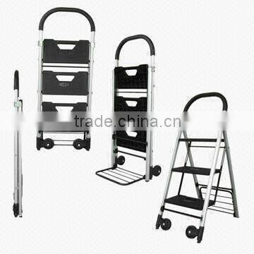 hand truck and trolley ladder