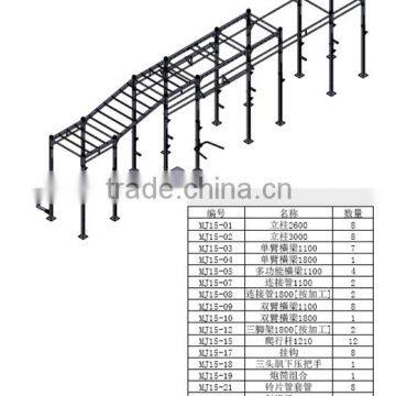 Crossfit rig BWR011 More units combo/ fitness equipment/crossfit