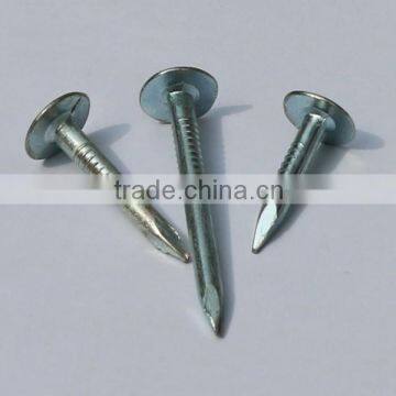 Galvanized Flat Head roofing nails