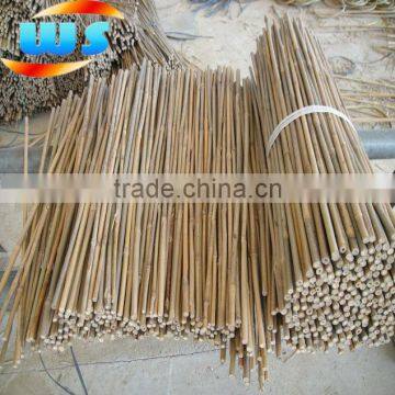 garden bamboo stick 61cm 8/10mm