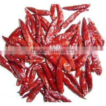 dried chili