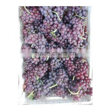 fresh red grape