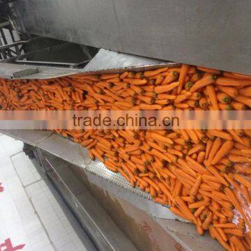 Export Standard Fresh Carrot photo-4