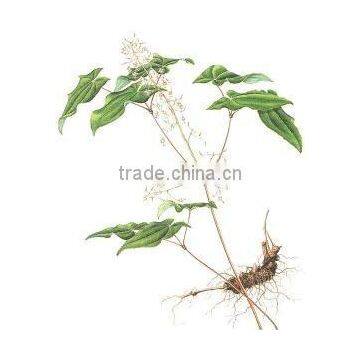 GMP Natural High Quality Epimedium Extract Powder/Icariin photo-2