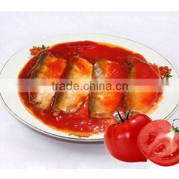 canned sardine in tomato sauce company export fish