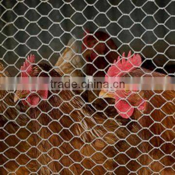 Hexagonal chicken wire mesh