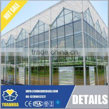 Venlo Type Glass Greenhouse for Vegetable and Flowers Growing photo-5